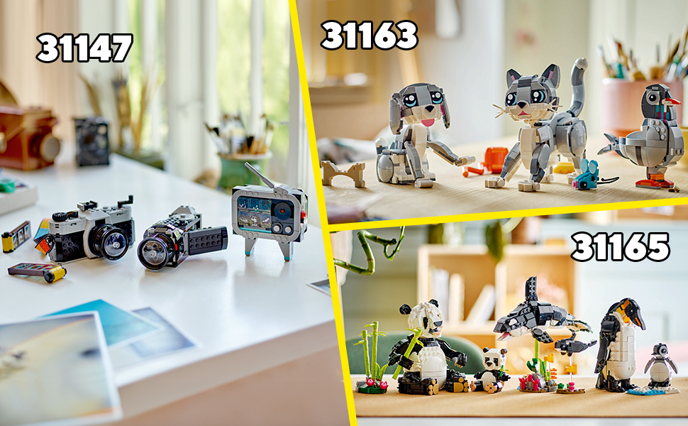 31169_CREATOR