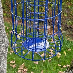 bird feeder