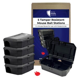 Empty Mouse Boxes Pack of 5