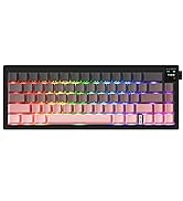 MechLands CIDOO QK61 VIA Programmable 60% Compact Keyboard, Wireless Gaming Keyboard, Hot Swappab...