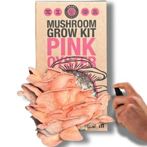 Smart Mushrooms Growing kit Pink Oyster XL - Harvest in 14 Days - Growth Guaranteed - Ideal Mushroom Gifts Foodie/Gardening Fun