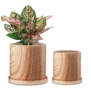 FairyLavie 18+15 CM Plant Pots Indoor