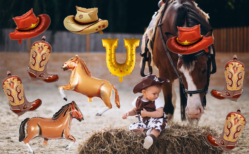 Cowboy Party Decorations