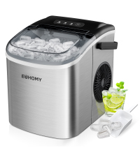 Ice maker