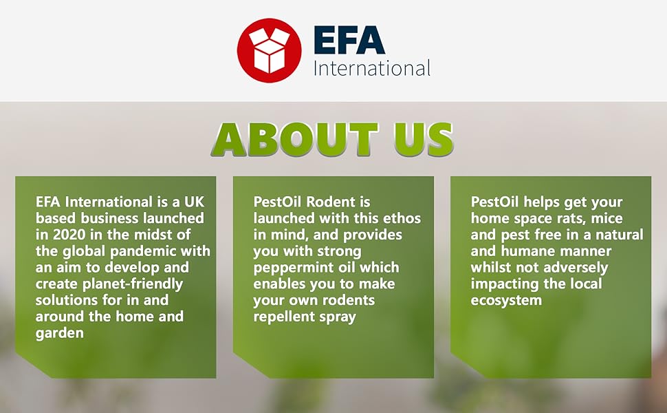 About us