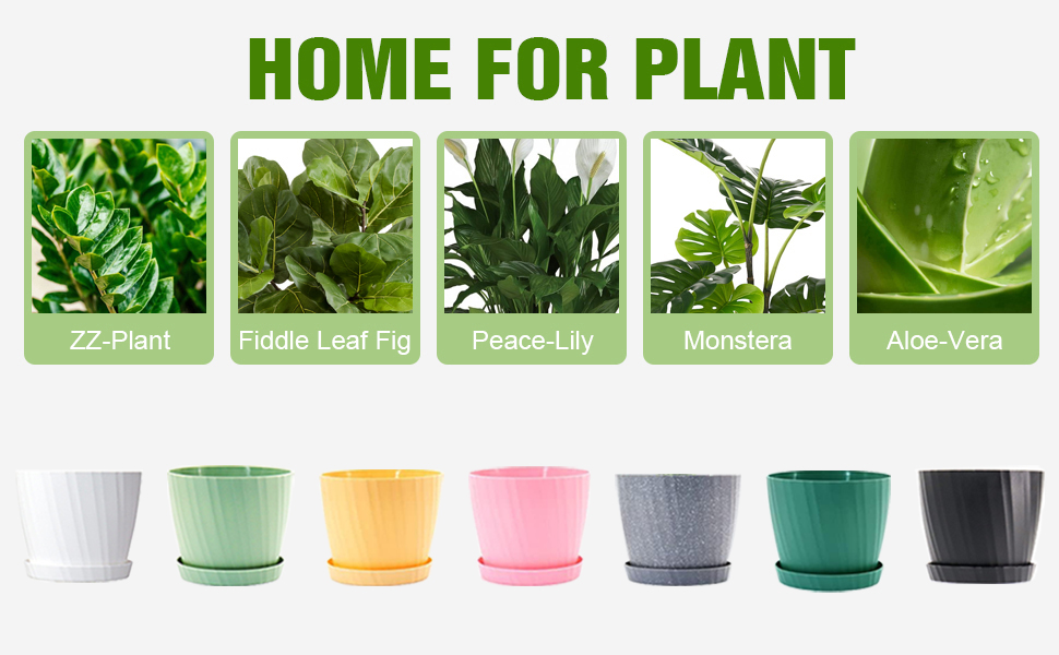 5 pack plant pot gray-5