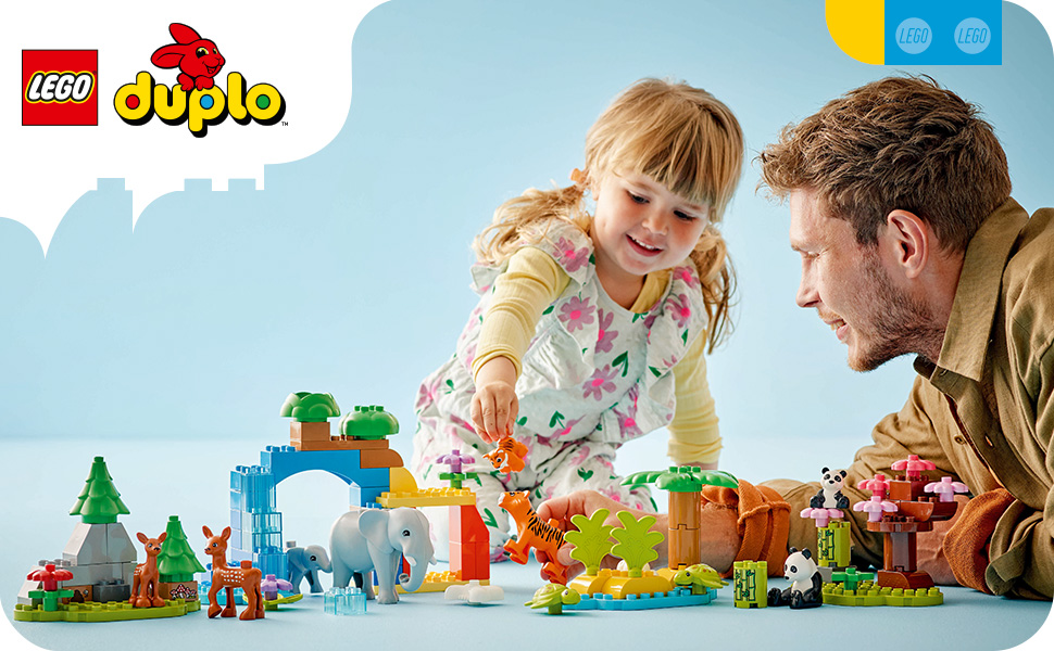 10460_DUPLO