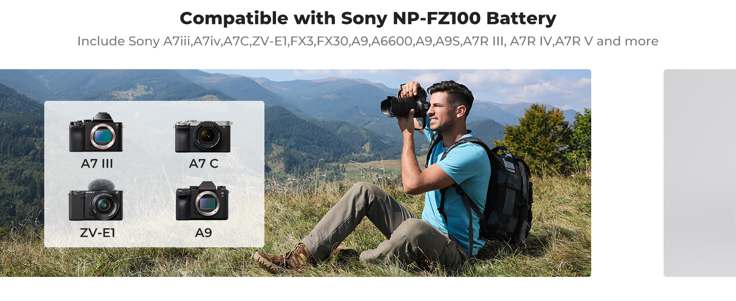 NP-FZ100