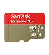 SanDisk Extreme Go mSD