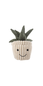 ALOE