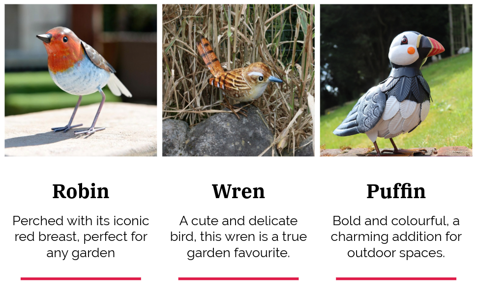 birds