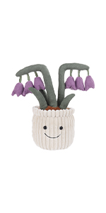 potted purple lily