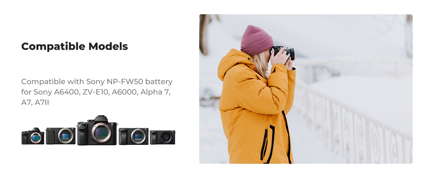 NP-FW50 Battery Charger