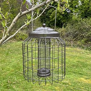 squirrel proof feeder