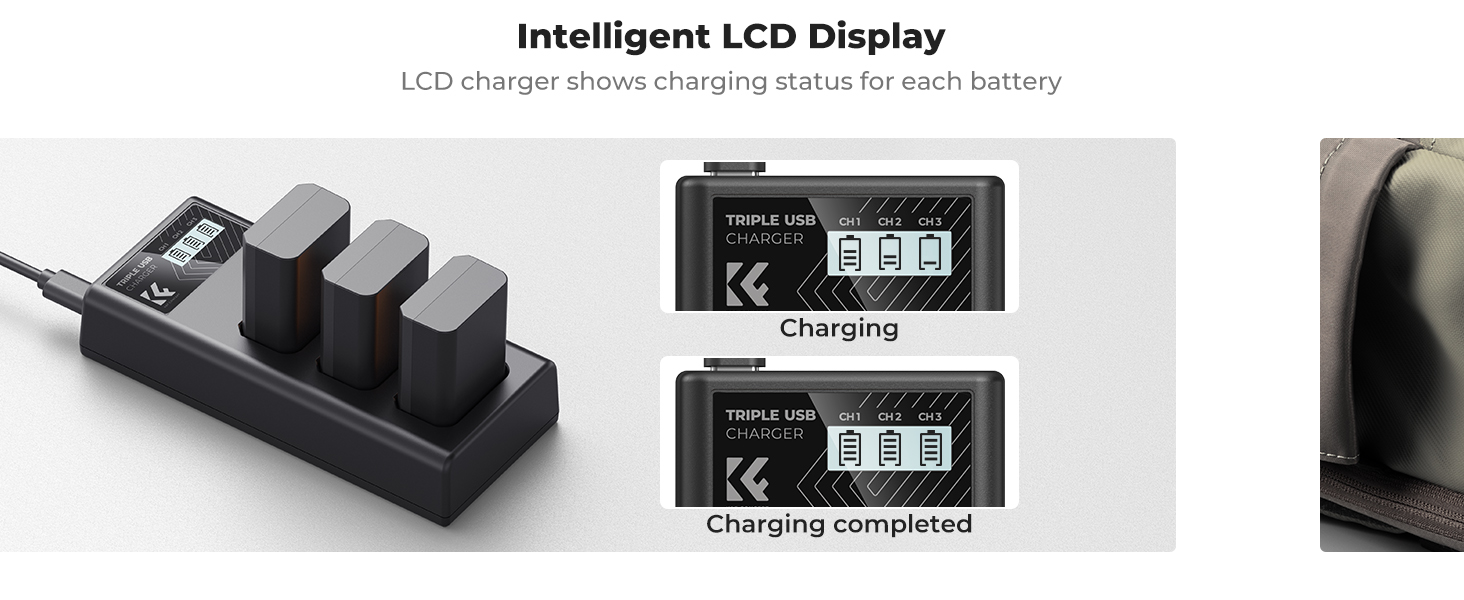 NP-FW50 Battery Charger 