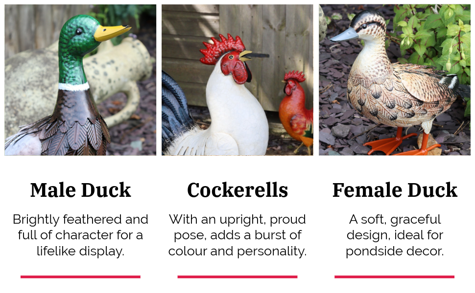 farmyard animals