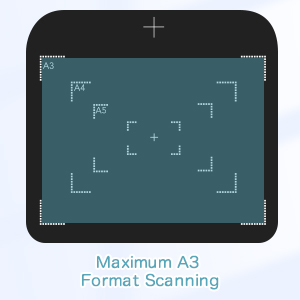 Portable Document Camera