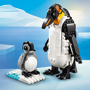 31165_CREATOR