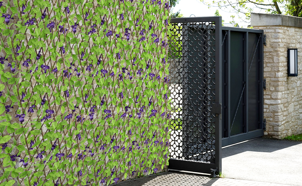 Artificial Leaf Screening