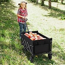 cart for gardon works