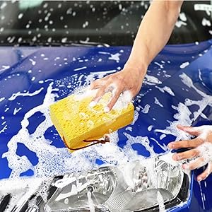 Big Sponges for Car Washing