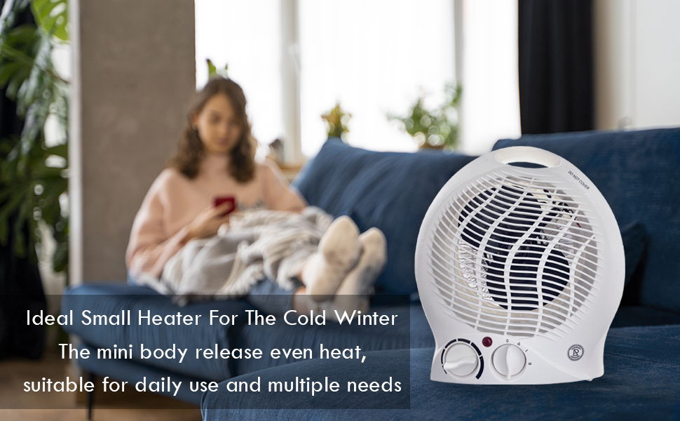 Heater