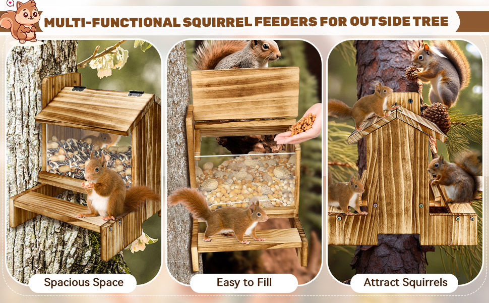 squirrel house
