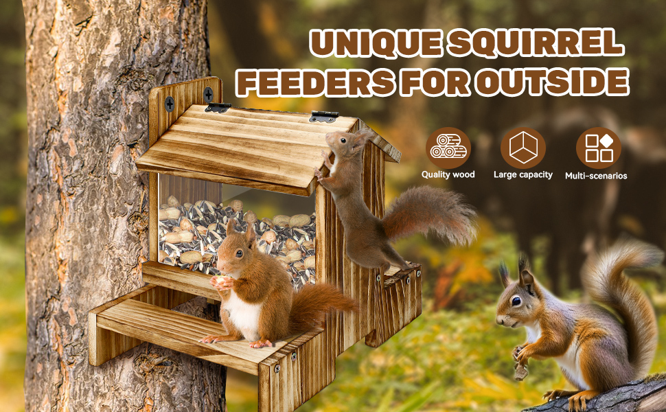 Outdoor Squirrel Feeder