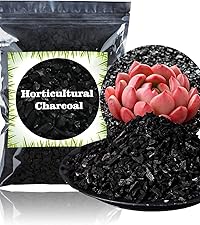 Horticultural Charcoal