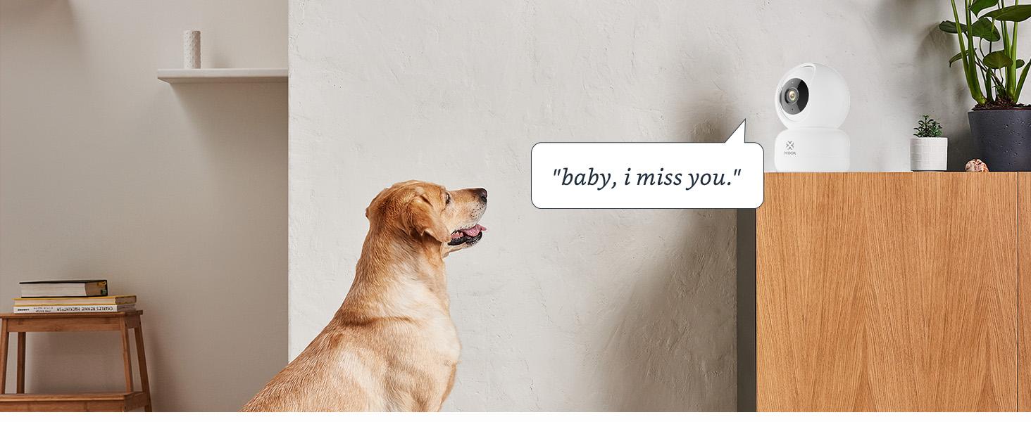 pet cameras with phone app