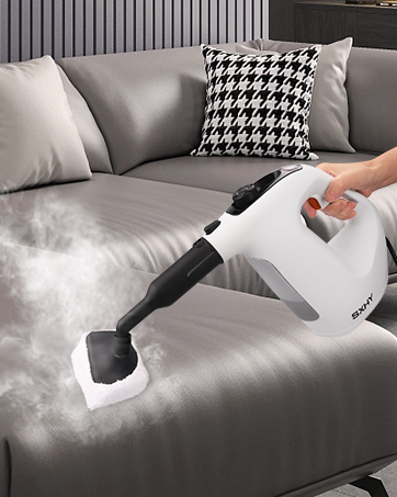steam cleaner