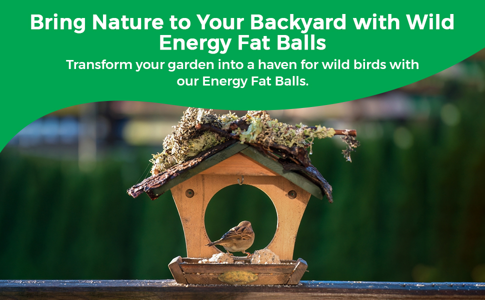 Bird Food for Bird Food wild birds