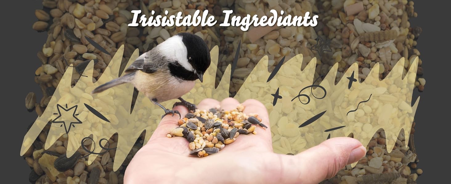 Chubby Seed Slider 3
