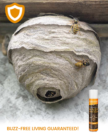 Multi Insect Killer Aerosol 300 ML Kills All Insects Including Spiders, wasps, Fleas Flying & all...