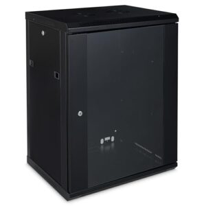 Platinum Enclosures 15u 600mm Deep Wall Mounted Data Cabinet 19 Inch Storage Rack for Home Office