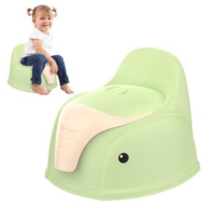 Potty Training Toddler Toilet