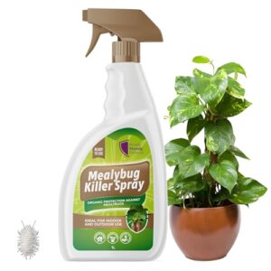 Mealybug Killer Spray 1L - Bug Spray with Insecticidal Soap for Indoor Plants - Effective Plant Insecticide Spray to Target Mealybugs - Easy-to-Use House Plant Bug Killer Spray for Vibrant Growth