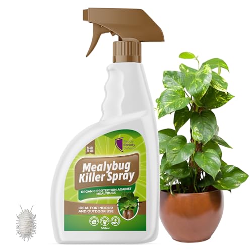 Mealybug Killer Spray 500ml - Bug Spray with Insecticidal Soap for Indoor Plants - Effective Plant Insecticide Spray to Target Mealybugs - Easy-to-Use House Plant Bug Killer Spray for Vibrant Growth
