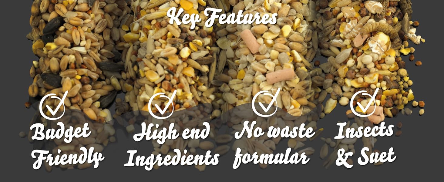 Chubby-Seed-Key-features
