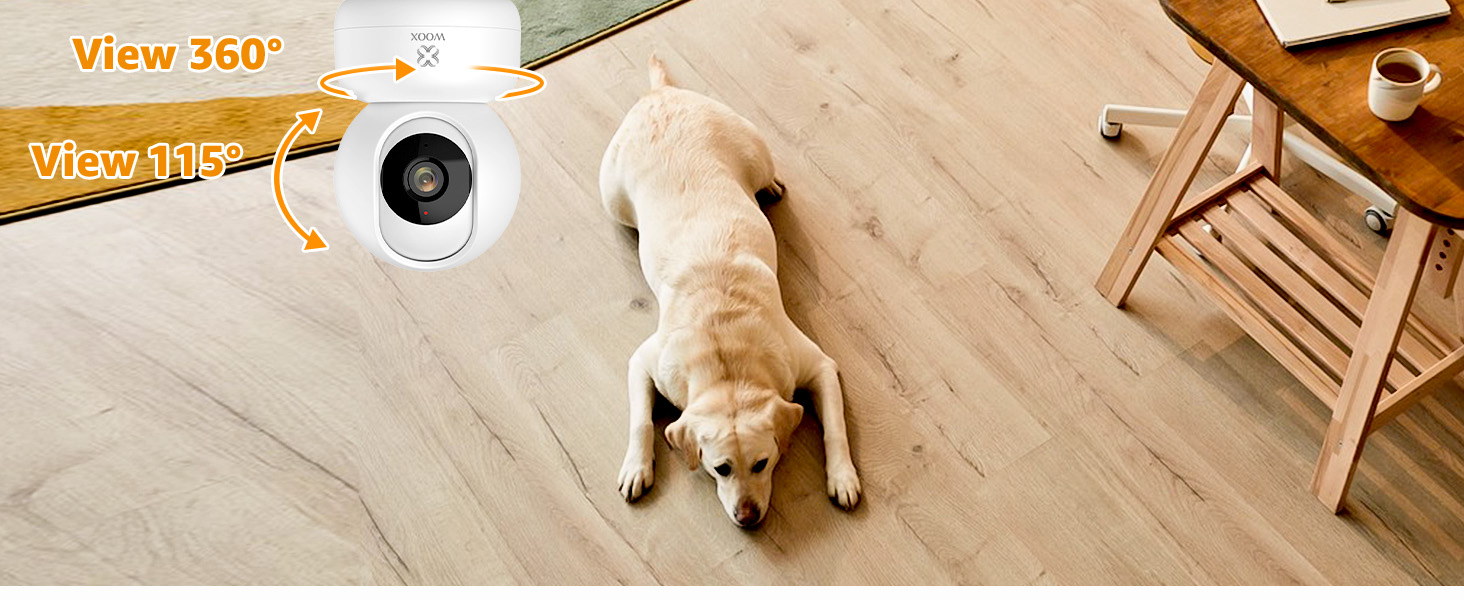 360 camera