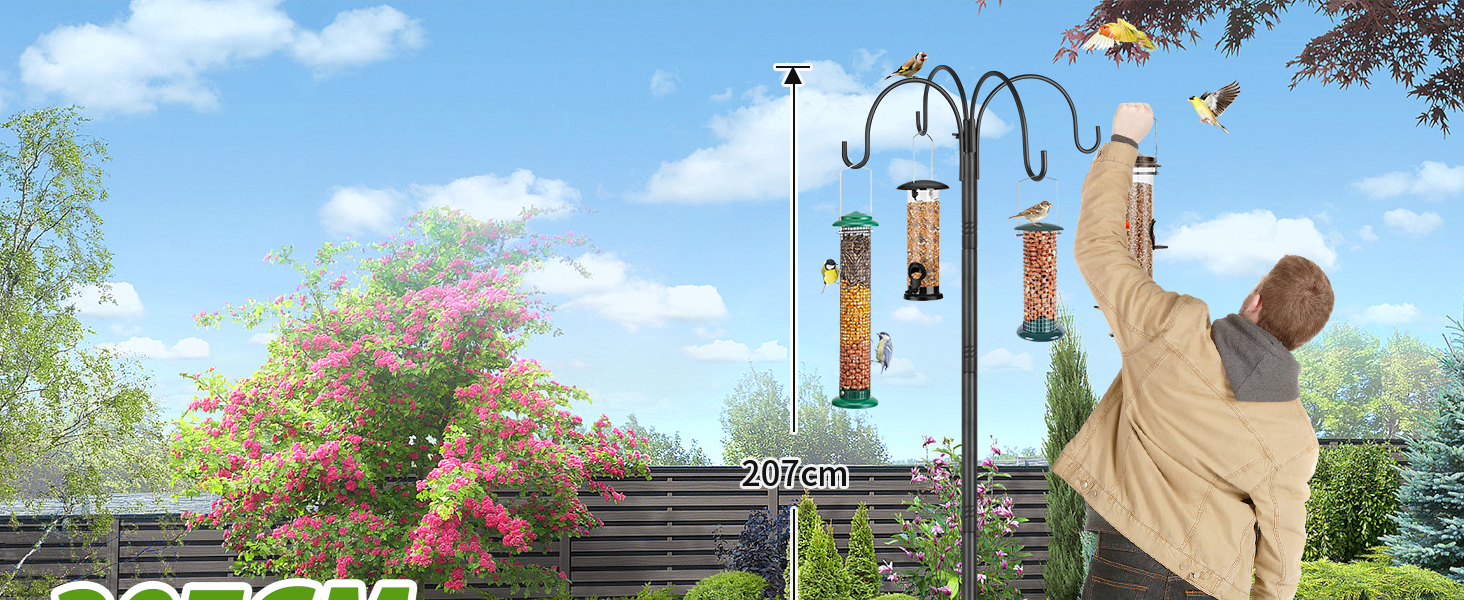 bird stands