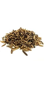 Dried Calciworms 1kg Premium Wild Bird & Hedgehog Food LPD