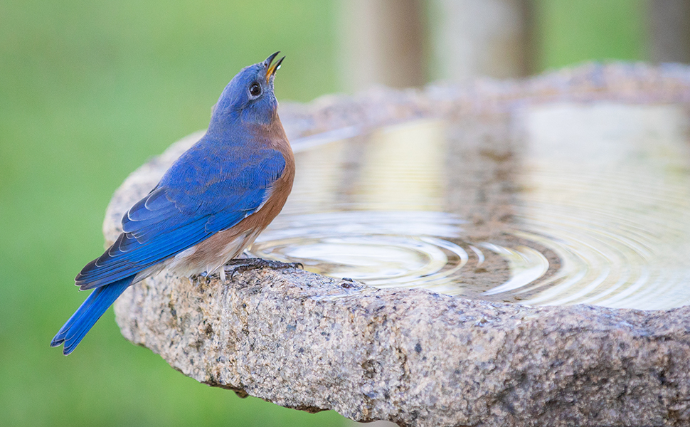 baths in uk large feeder