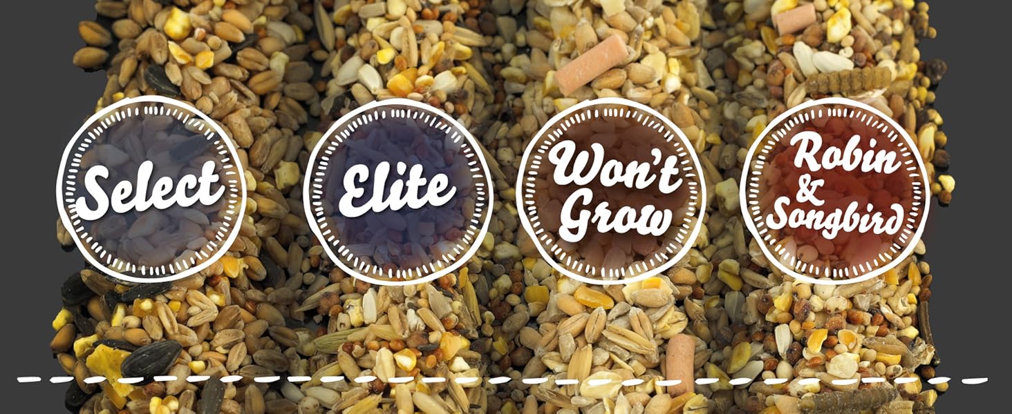 Chubby Seed Slider 1