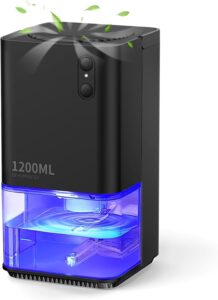 Dehumidifiers for Home Damp