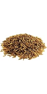 Dried Mealworms 5kg Premium Insectivorous Wild Bird Food By Maltbys' Stores 1904 Limited