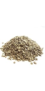 Sunflower Hearts 15kg Premium Wild Bird Food Seed