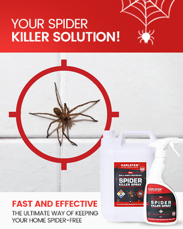 Insect Killer