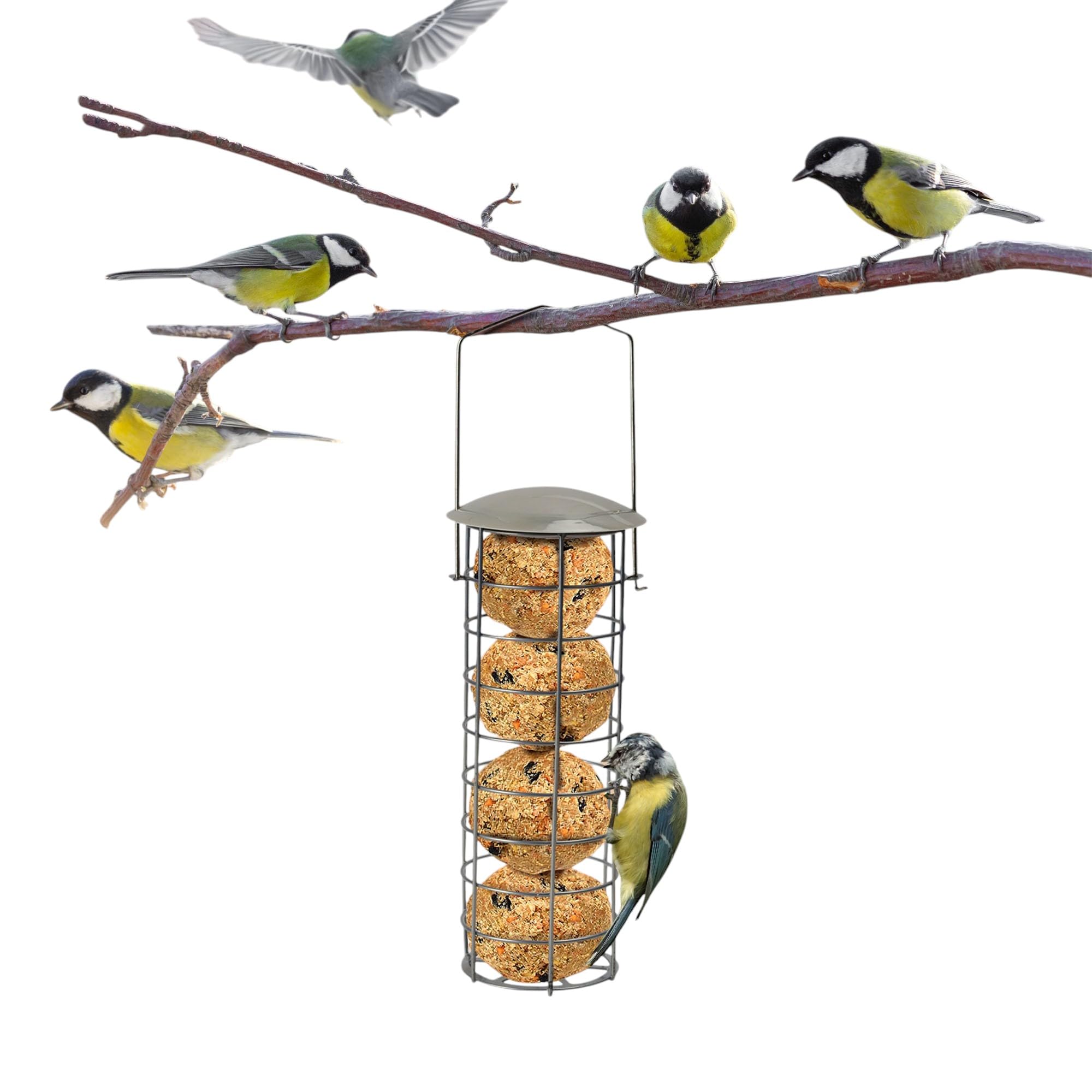 Metal Hanging Feeder