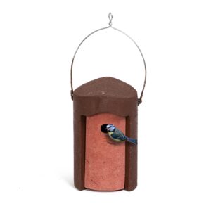 Bird Boxes for Gardens UK - Jacobi Jayne Schwegler 1B Nest Box 26mm Entry Hole - Bird House Nest Box for Wild and Garden Birds - Wildife Bird Box - Long Lasting Bird Nest Box